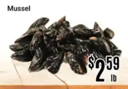 Nations Fresh Foods Mussel offer
