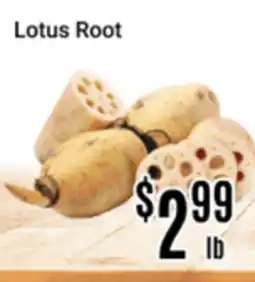 Nations Fresh Foods Lotus Root offer