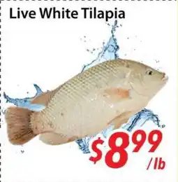 Bestco Food Mart Live White Tilapia offer