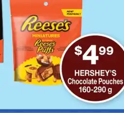 Wholesale Club CHOCOLATE POUCHES offer