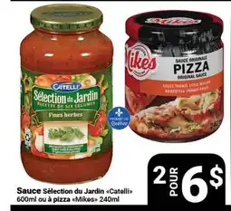 Pasquier Sauce Sélection du Jardin Catellì 600ml ou à pizza Mikes 240ml offer