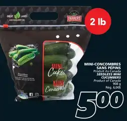 IGA SEEDLESS MINI CUCUMBERS offer