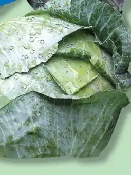 IGA GREEN CABBAGE offer