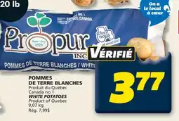 IGA WHITE POTATOES offer