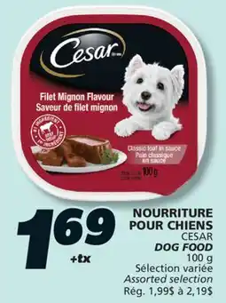 IGA CESAR DOG FOOD offer