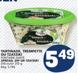 Marché Bonichoix FONTAINE SANTÉ SPREAD, DIP OR TZATZIKI offer