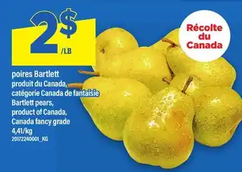 Maxi POIRES BARTLETT | BARTLETT PEARS offer