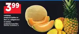 Maxi CANTALOUP, OU ANANAS offer