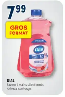 Familiprix DIAL Selected hand soaps offer