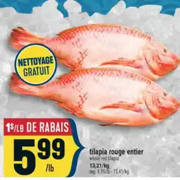 Marché Adonis tilapia rouge entier | whole red tilapia offer