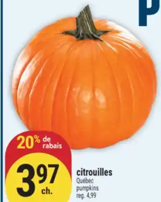 Marché Adonis citrouilles offer