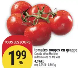 Marché Adonis tomates rouges en grappe | red tomatoes on the vine offer