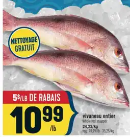 Marché Adonis vivaneau entier | Whole red snapper offer