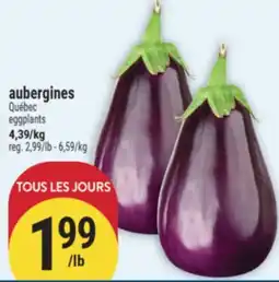Marché Adonis aubergines | eggplants offer