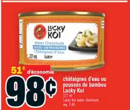 Super C châtaignes d'eau ou pousses de bambou LuckyKoi | LuckyKoi water chestnuts offer