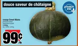 Super C courge Sweet Mama | Sweet Mama squash offer