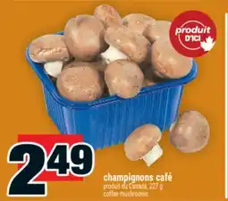 Super C champignons café | coffee mushrooms offer