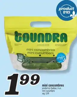 Marché Richelieu MINI CONCOMBRES | MINI CUCUMBERS offer
