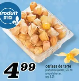 Marché Richelieu CERISES DE TERRE | GROUND CHERRIES offer