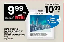 Rachelle-Bery Grocery SILKNSOAK SHOWER STEAMER CUBE offer