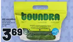 Metro MINI CONCOMBRES | MINI CUCUMBERS offer