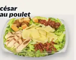Metro SALADE | SALAD offer