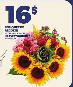 Provigo BOUQUET DE RÉCOLTE | HARVEST BOUQUET offer