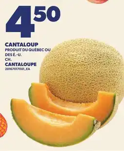 Provigo CANTALOUP | CANTALOUPE offer
