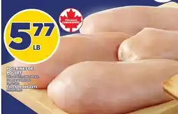 Provigo POITRINES DE POULET | CHICKEN BREASTS offer