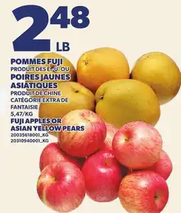 Provigo POMMES FUJI OU POIRES JAUNES | FUJI APPLES OR ASIAN YELLOW PEARS offer