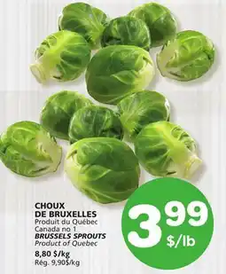 Marches Tradition BRUSSELS SPROUTS offer