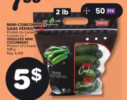 Marches Tradition SEEDLESS MINI CUCUMBERS offer