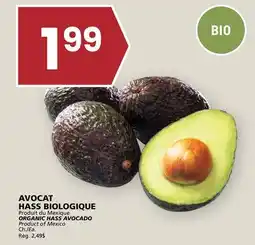 Rachelle-Bery Grocery ORGANIC HASS AVOCADO offer