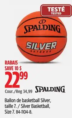 Canadian Tire Silver Basketball offer