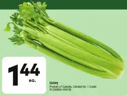Giant Tiger Celery offer