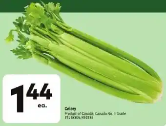 Giant Tiger Celery offer