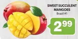Colemans Sweet succulent mangoes offer