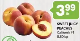 Colemans Sweet juicy peaches offer