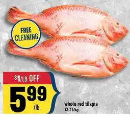 Marché Adonis whole red tilapia offer