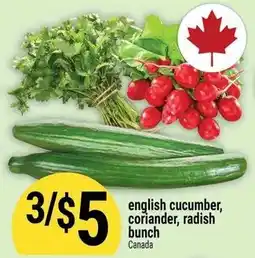 Marché Adonis english cucumber, coriander, radish bunch offer