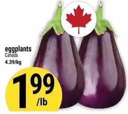 Marché Adonis eggplants offer