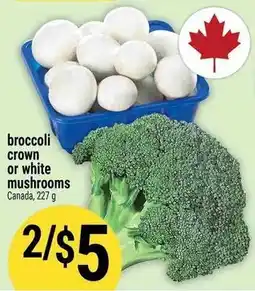 Marché Adonis broccoli crown or white mushrooms offer