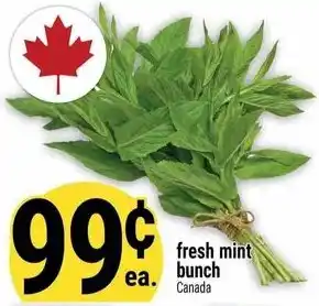 Marché Adonis fresh mint bunch offer