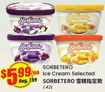 Sorbetero ice cream selected