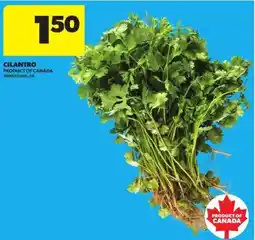 Atlantic Superstore Cilantro offer