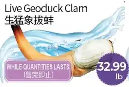 FreshWay Foodmart Live Geoduck Clam offer