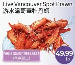 FreshWay Foodmart Live Vancouver Spot Prawn offer