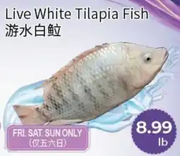 FreshWay Foodmart Live White Tilapia Fish offer