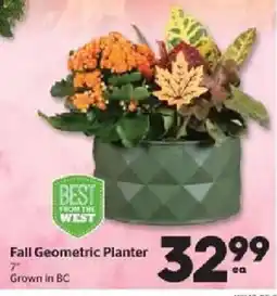 Calgary Co-op Best from the west fall geometric planter offer