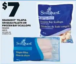 Loblaws Seaquest tilapia or basa fillets or frozen bay scallops offer